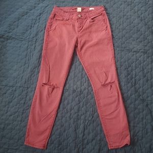 Arizona Jeggings